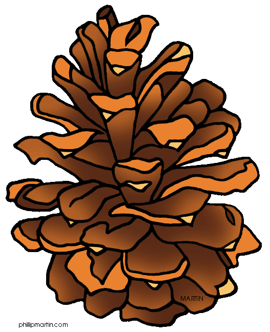 pinecone clipart