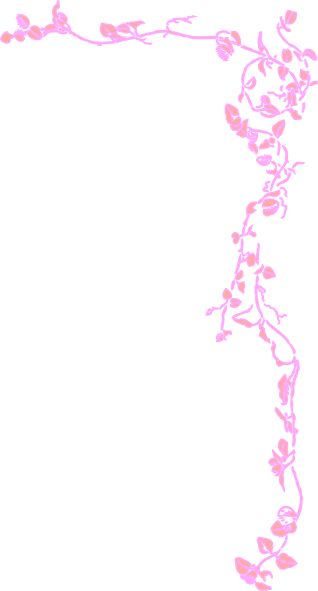  borders for free. Pink border png