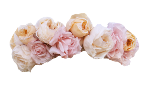 Pink flower crown png. Tumblr transparents pinterest and