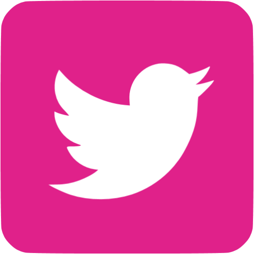 Barbie icon free social. Pink twitter png