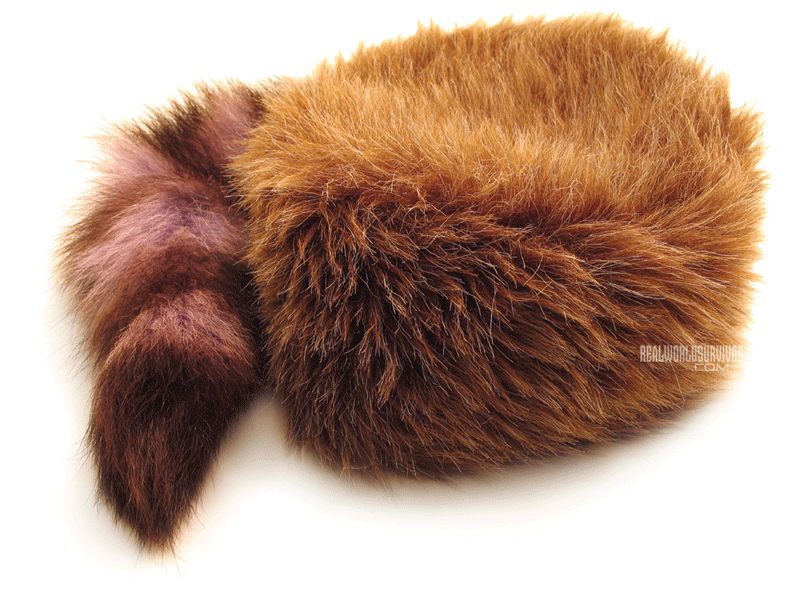 pioneer-clipart-coonskin-cap-picture-3087317-pioneer-clipart-coonskin-cap