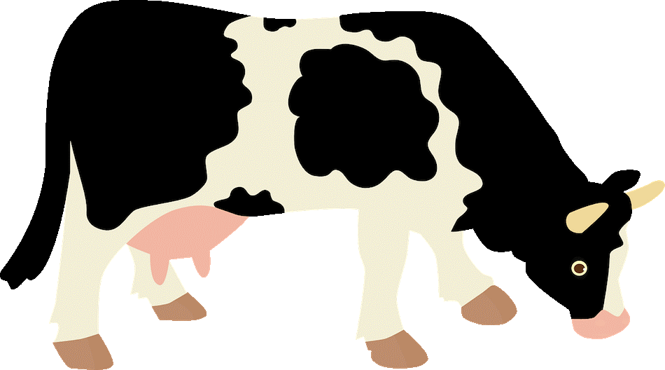 pioneer clipart cow