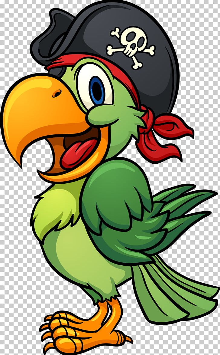 pirate clipart parrot