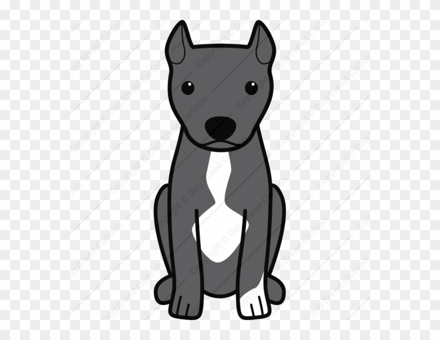pitbull clipart animation