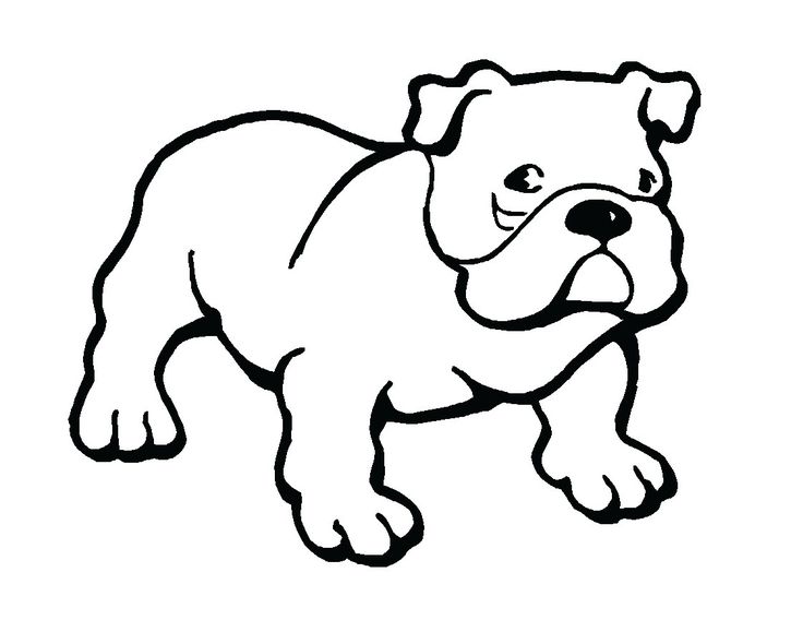 pitbull clipart cartoon baby