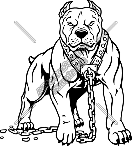pitbull clipart chain drawing