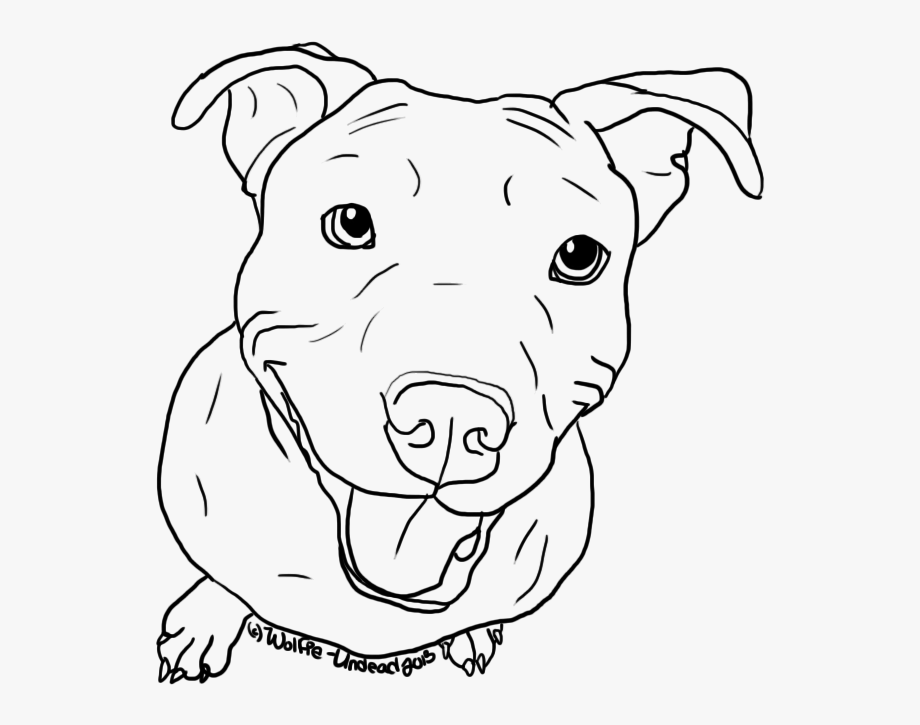 Clip art drawings images. Pitbull clipart cute pitbull