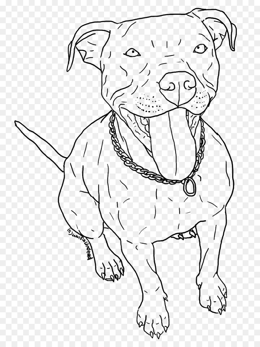 pitbull clipart drawn
