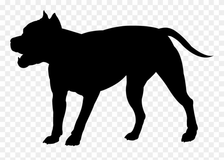 Black silhouette pinclipart . Pitbull clipart outline