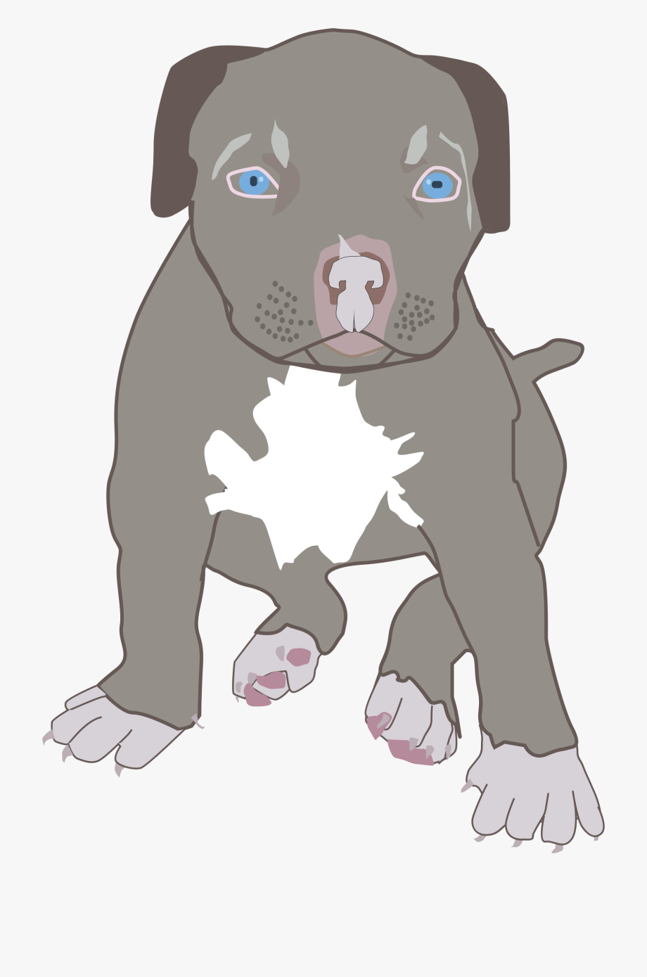 pitbull clipart pitbull puppy