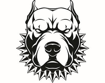 Pitbull clipart spiked collar. Png transparent images pluspng