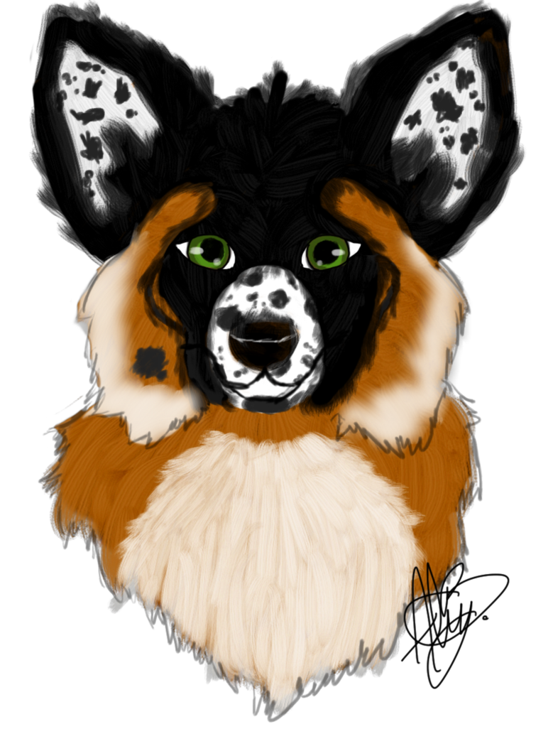 View topic lava s. Pitbull clipart spotty dog