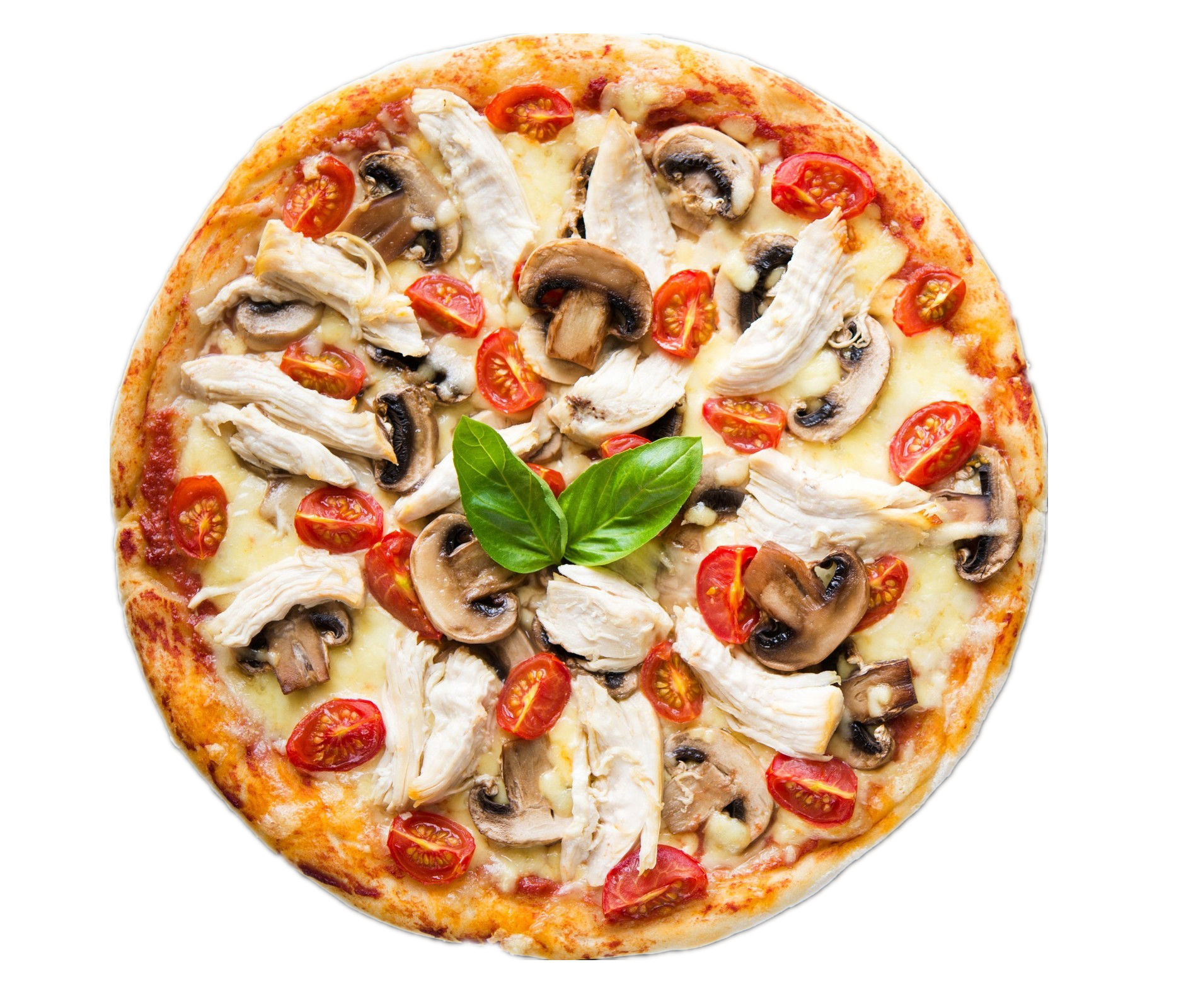 pizza clipart mushroom pizza