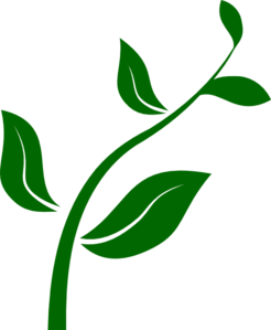 Plant clipart. Growing clip art at