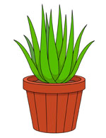Plants clipart. Free clip art pictures