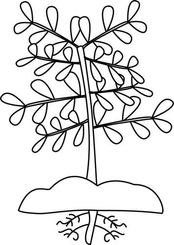plant clipart black and white