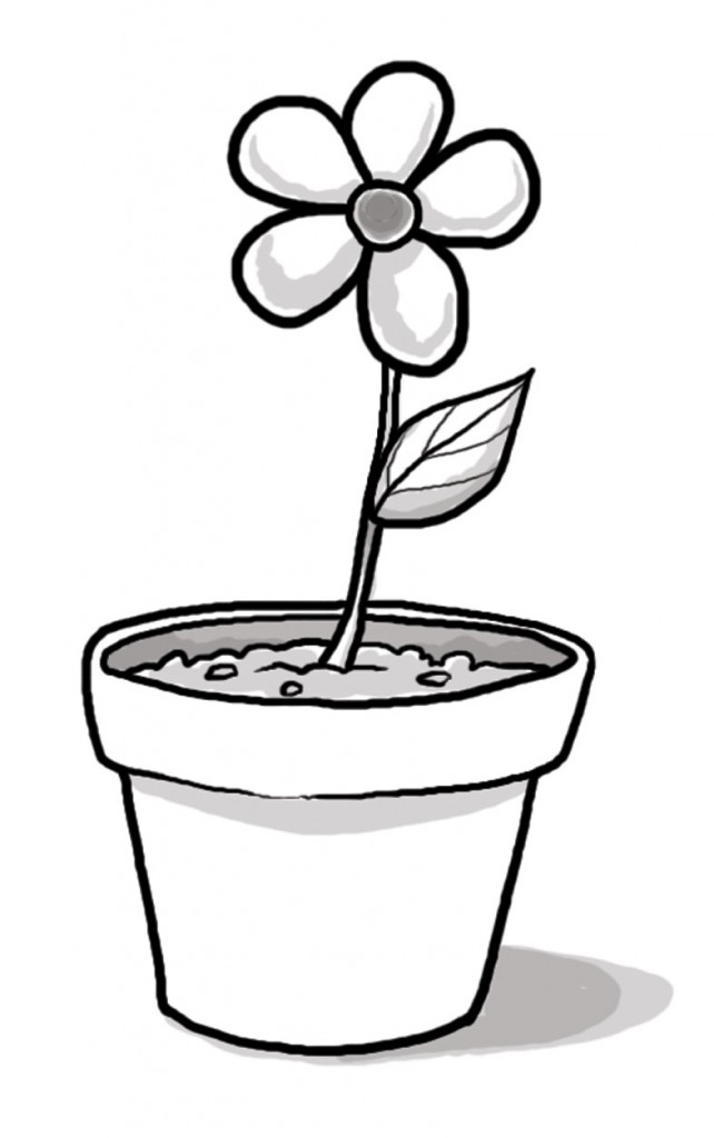Black and white plant. Seedling clipart gamala