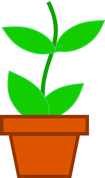 vase clipart plant