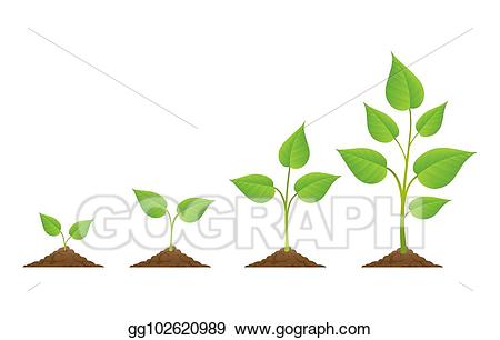 plants clipart cultivation