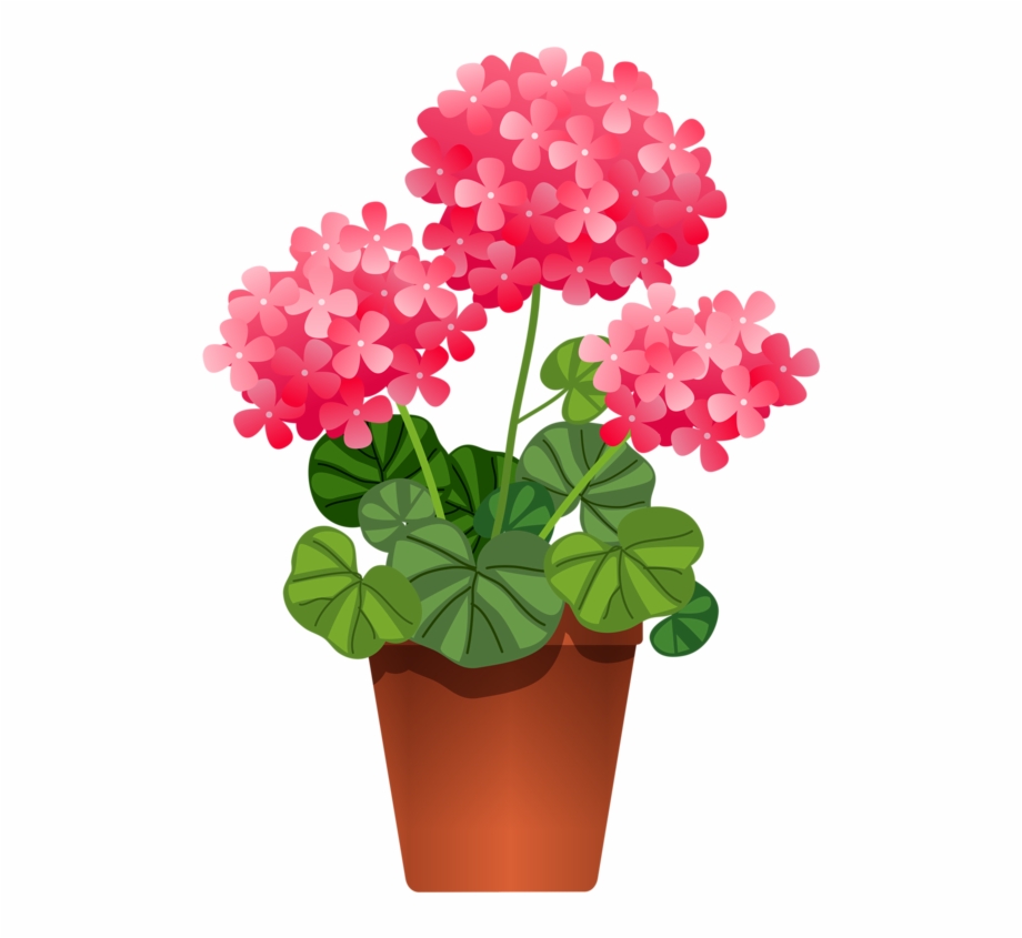 planting clipart planted flower