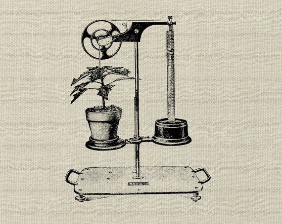 Science experiment vector graphic. Plant clipart lab