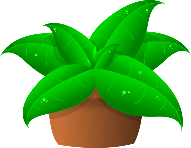New free images photos. Plants clipart winter