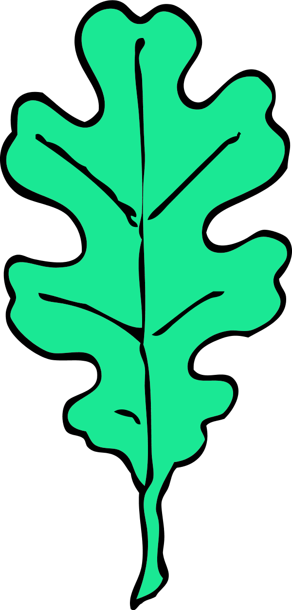 plant clipart liana