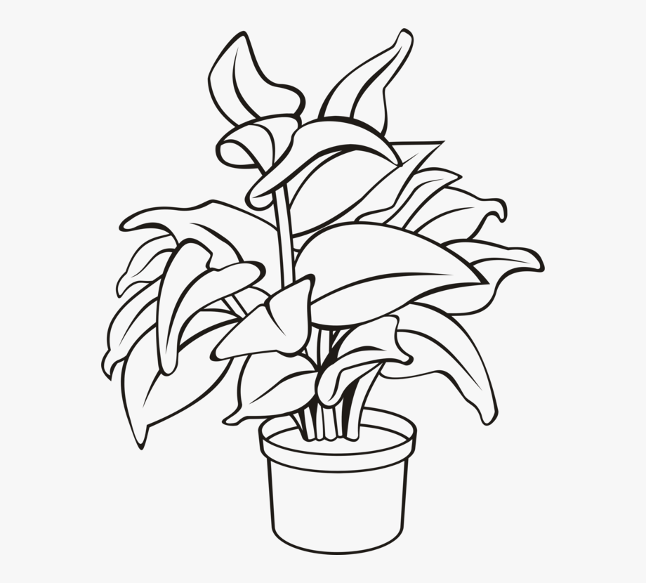 plant clipart line art