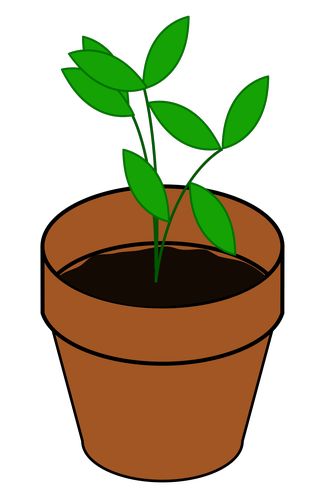 What do plants second. Planting clipart need plant