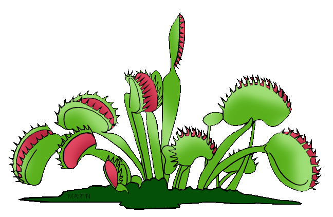 plants clipart milo