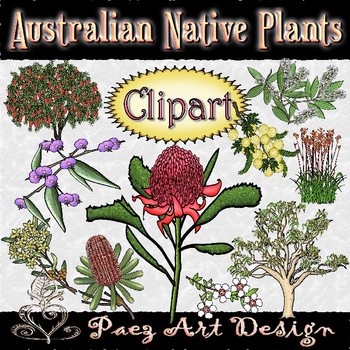 plant clipart native plant