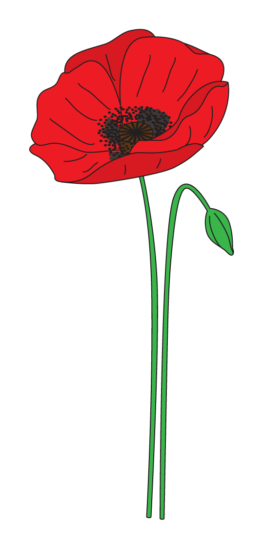 plant clipart poppy