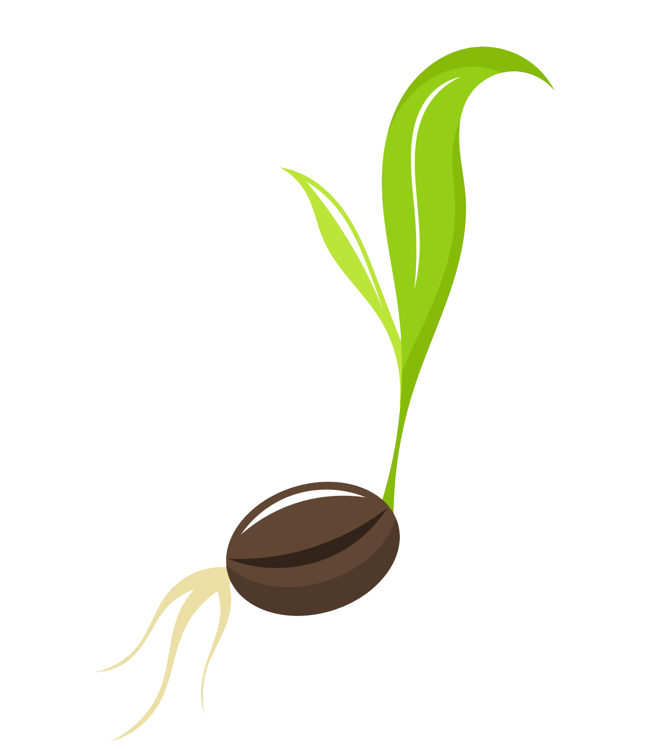 seedling clipart many plant