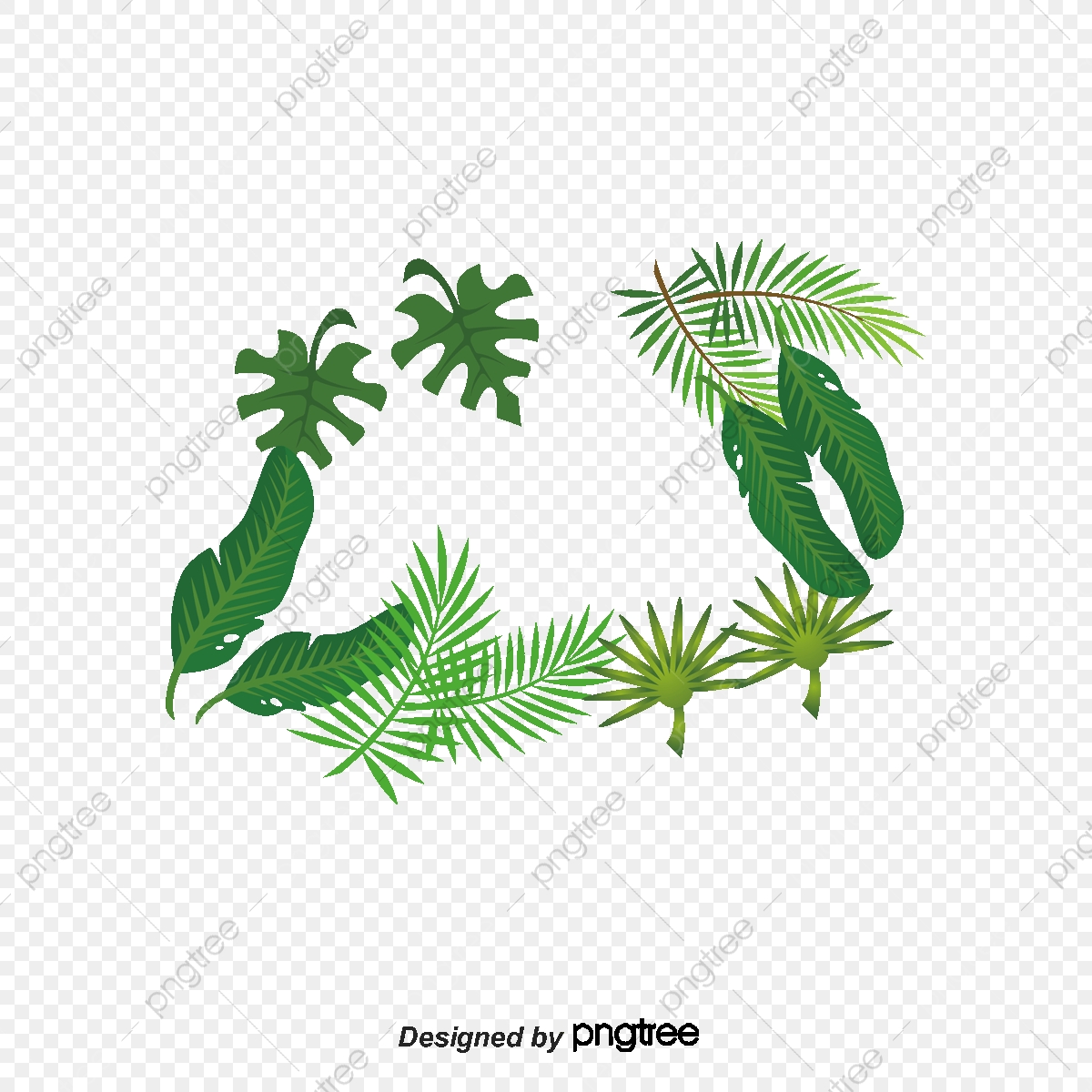 plant clipart tropical plant