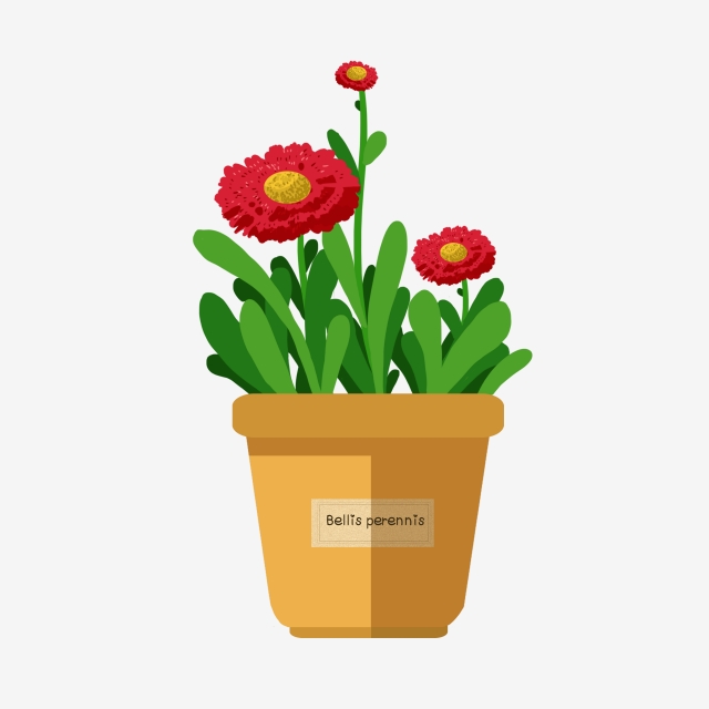 planting clipart beautiful plant