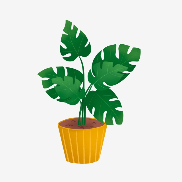 planting clipart beautiful plant