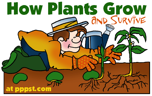 planting clipart biology plant