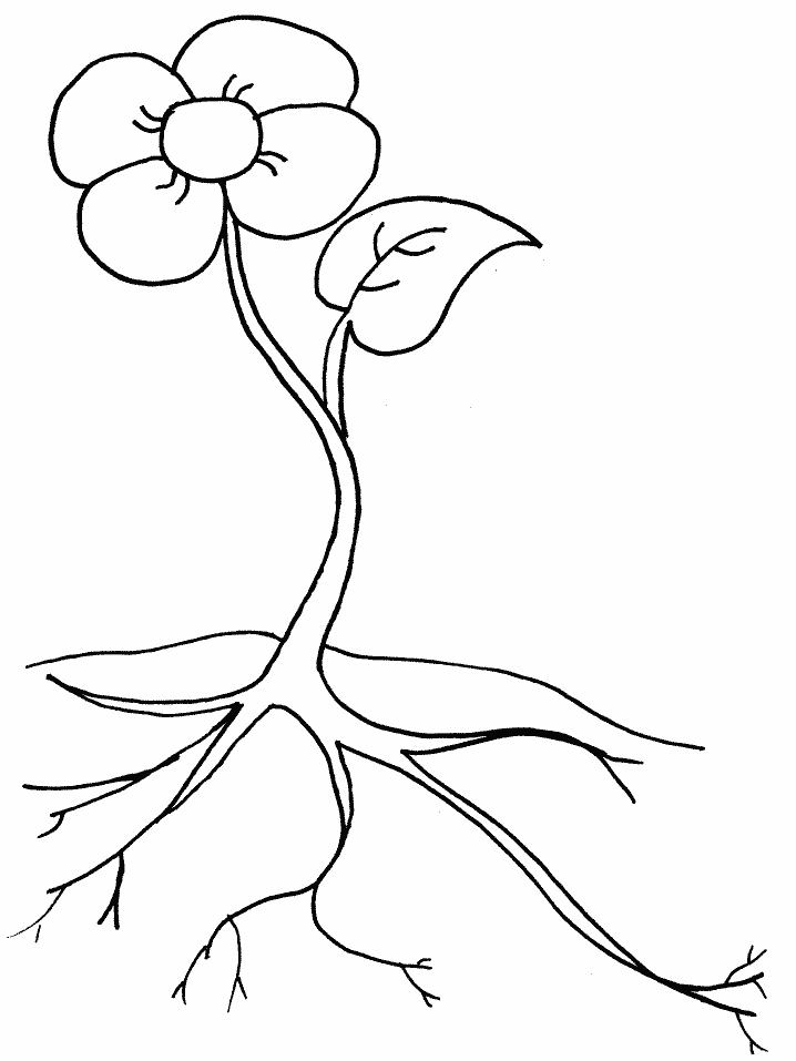 planting clipart colouring