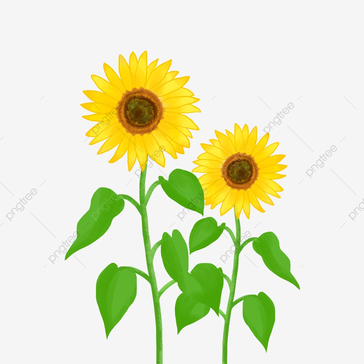 Commercial hand painted sun. Planting clipart flower plant