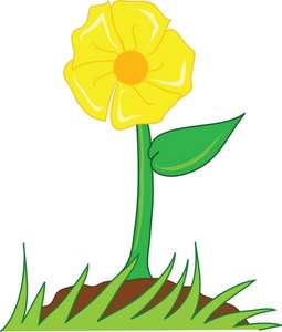 planting clipart flowering plant