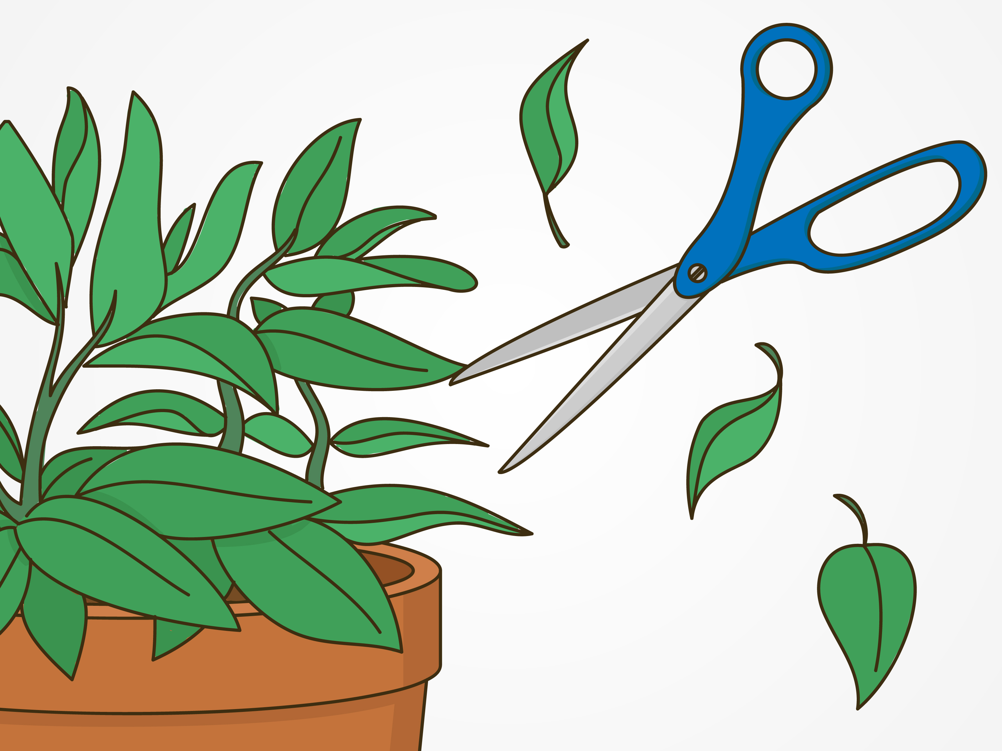 planting clipart indoor plant