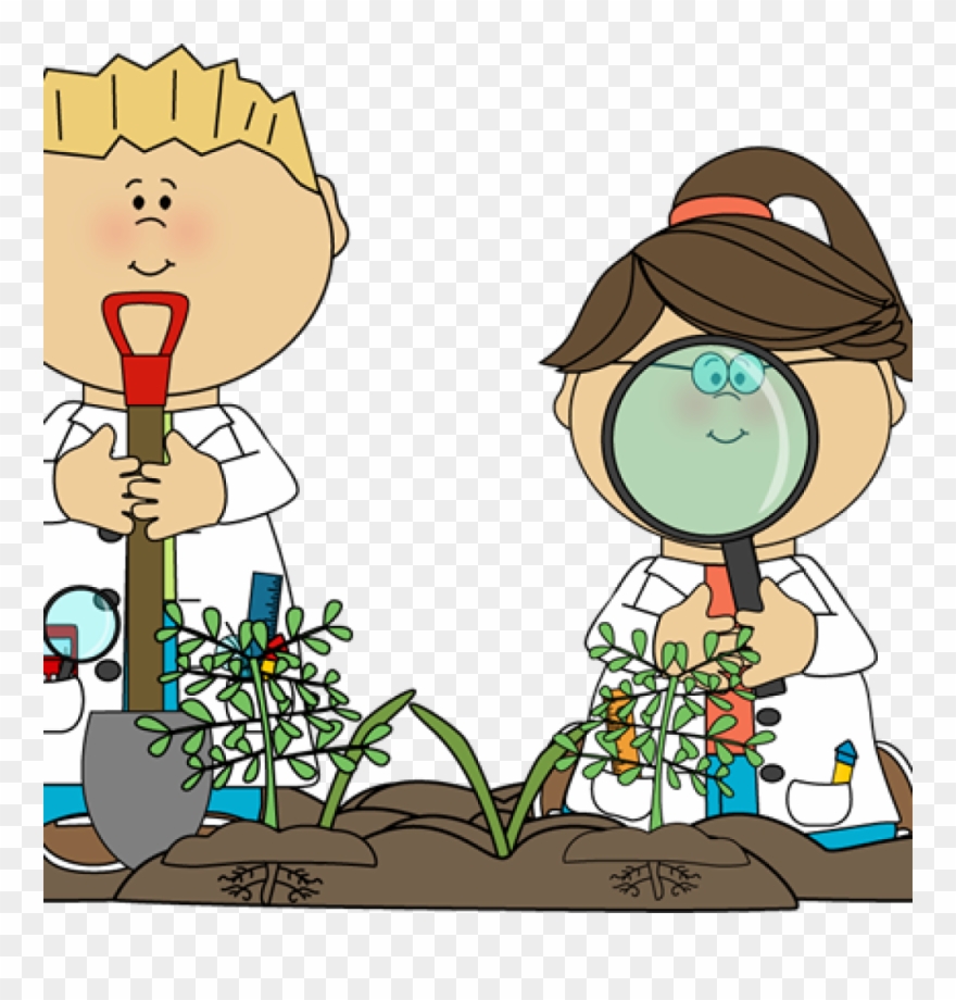 scientist clipart plant