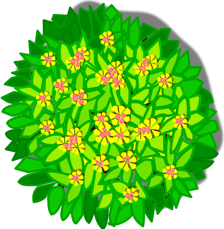 Trees top view png. Planting clipart leafy plant