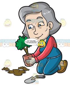 Planting clipart mature plant. A woman small tree