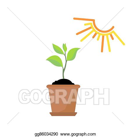 planting clipart nature