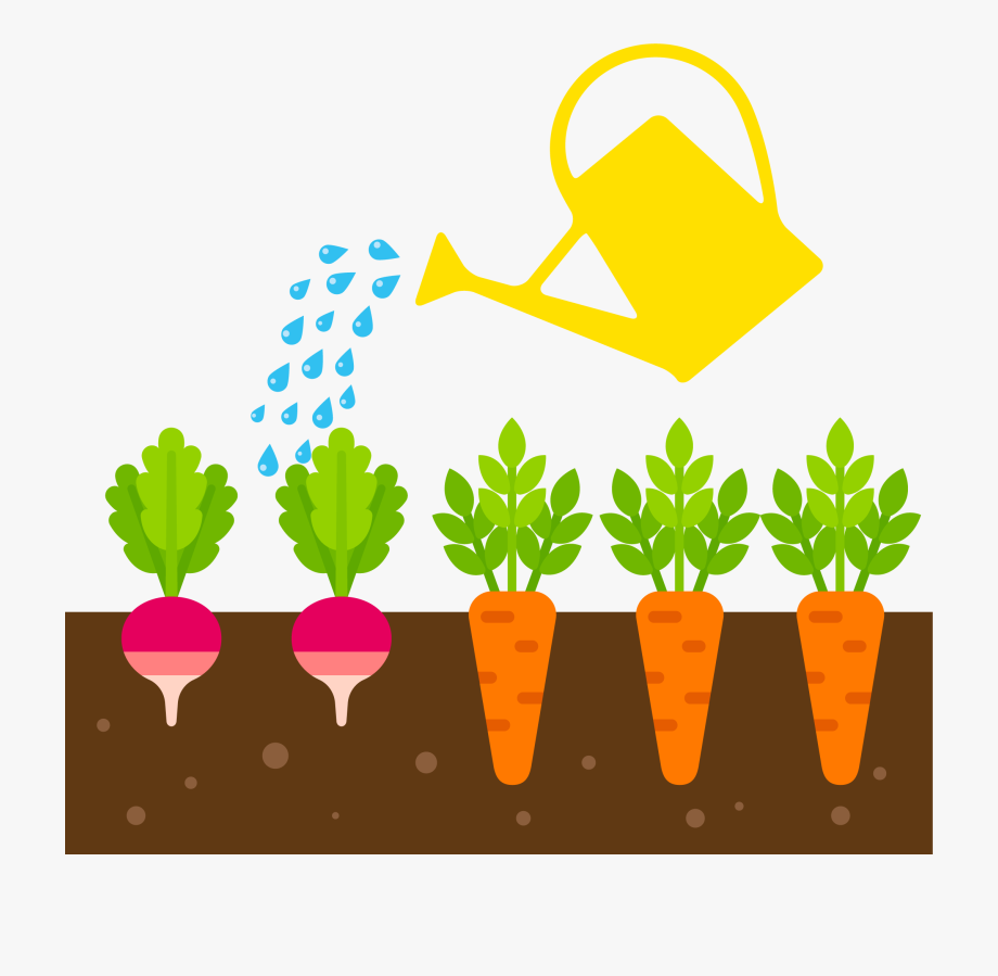 Planting clipart need plant. All plants water in