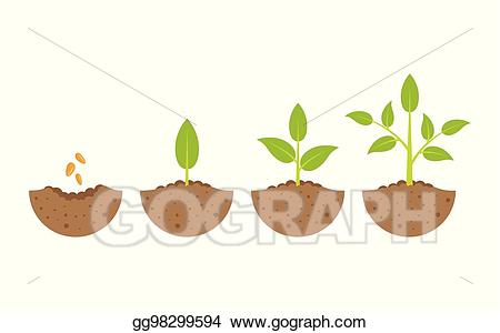 planting clipart part plant