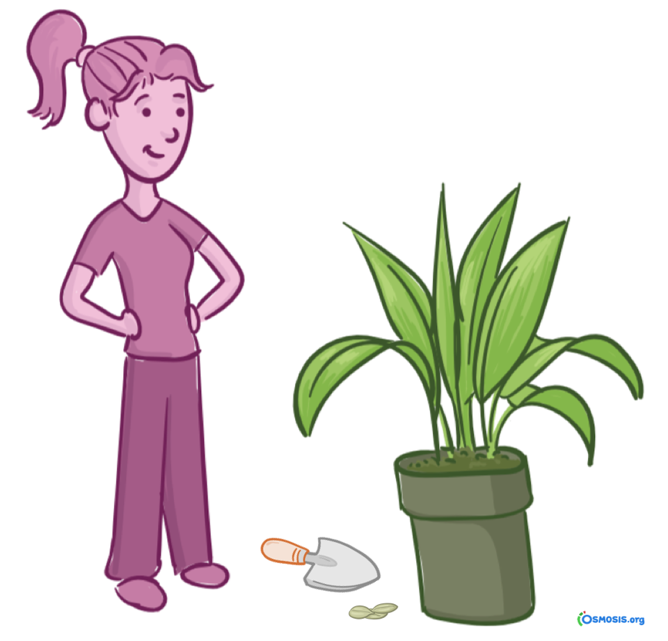 Planting clipart plant diversity.  strategies for cultivating