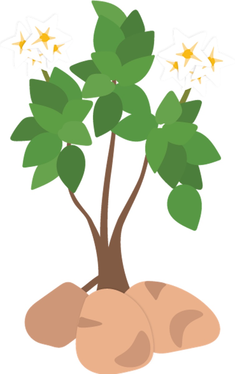 seedling clipart single seed