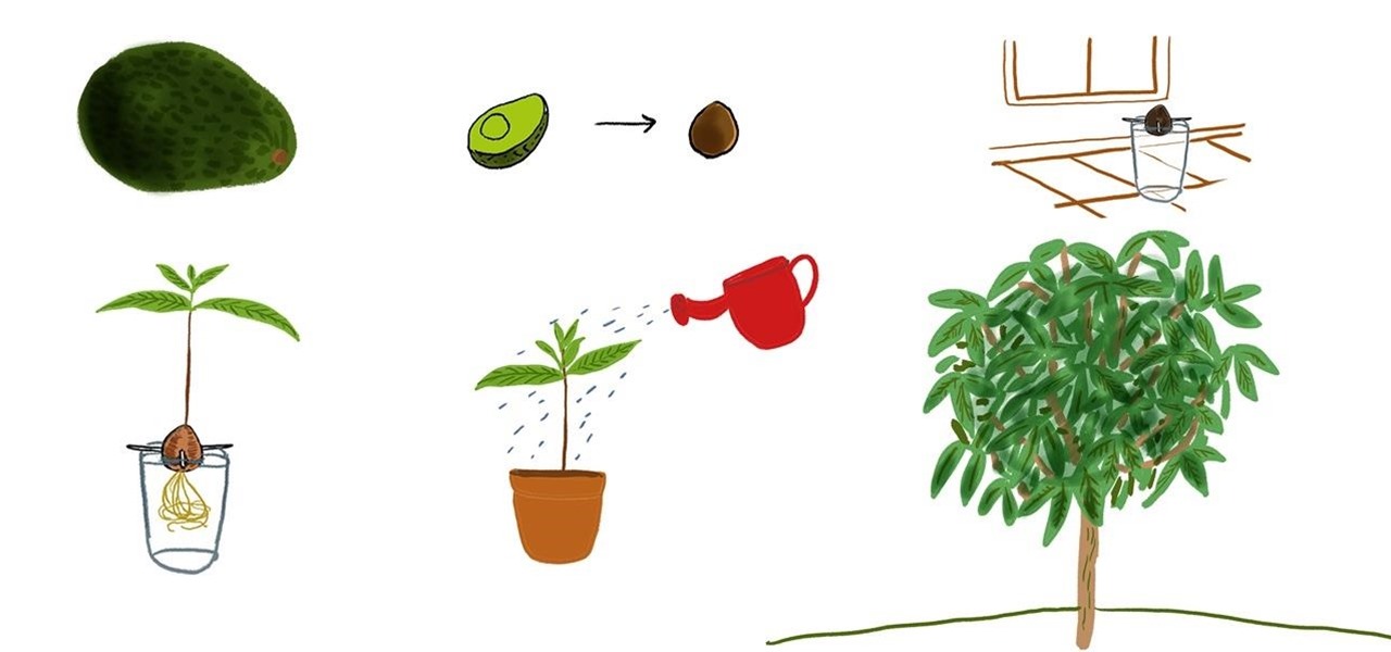 planting clipart plant producer